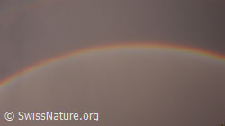 F045681: Regenbogen