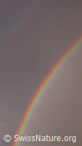F045682: Doppelter Regenbogen