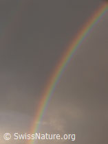 F045694: Regenbogen