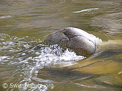 F045777: Wellen und Strudel