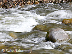 F045786: Wasser in der Emme