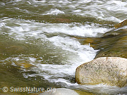 F045791: Wasserstrudel im Fluss