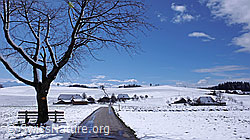 F045818: Winterlandschaft mit Baum und Ruhebank