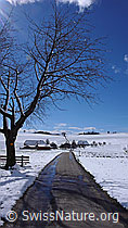 F045819: Fahrstrasse, Häuser, Winterlandschaft