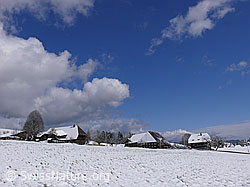 F045835: Bauernhäuser in Winterlandschaft