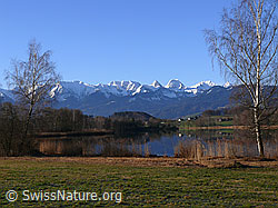F045895: Spiegelung im Gerzensee
