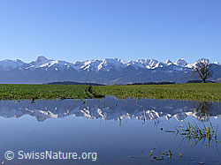 F045916: Spiegelung einer Bergkette