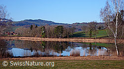 F045985: Idyllische Seelandschaft