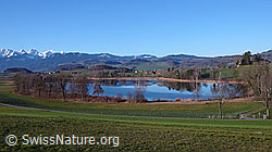 F045988: See mit Spiegelung