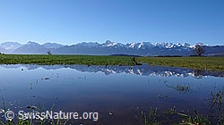 F045997: Berner Voralpen mit Spiegelung