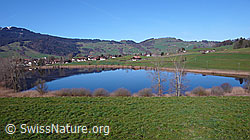 F046003: Gurnigel und Dittligsee