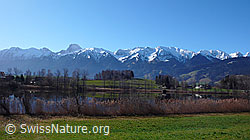 F046010: Dittligsee und Stockhornkette