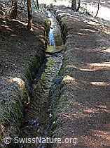 F046862: Wasserleitung