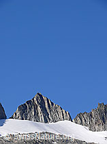 F049843: Sidelenhorn