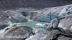 F049886: Gletscherlandschaft an Quelle der Rhone