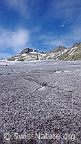 F049903: Rhonegletscher und Sidelenhorn