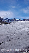 F049904: Rhonegletscher, Wallis