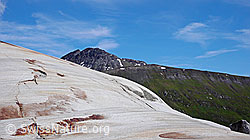 F049906: Gletscherschliff und Tällistock