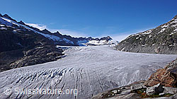 F049917: Gletscherlandschaft Rhonegletscher