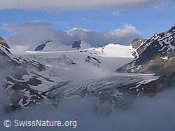 F050061: Morgenstimmung über dem Griesgletscher