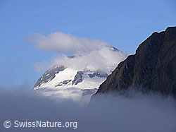 F050062: Morgenstimmung am Ofenhorn