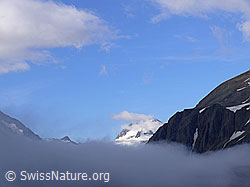 F050063: Morgenstimmung über dem Griespass