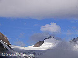 F050064: Morgenstimmung über dem Griesgletscher