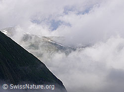 F050065: Morgenstimmung im Nufenengebiet