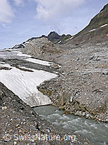 F050081: Gletschertor Griesgletscher