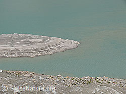 F050086: Insel im Griessee