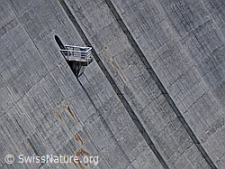 F050096: Staumauer Griessee