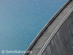 F050099: Staumauer Griessee