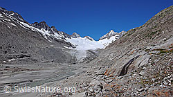 F050312: Gletschervorfeld, Mäander, Gletscherzunge