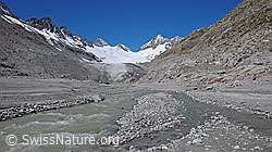 F050320: Gletscherbach im Gletschervorfeld des Oberaargletschers