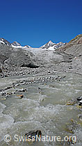 F050336: Gletscherbach und Gletschertor