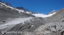 F050354: Gletscherschwund