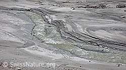 F050365: Wasserlauf und Sandbank in Schwemmebene