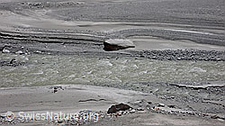 F050367: Gletscherbach und Sandbank mit Felsblock