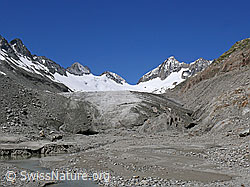 F050419: Oberaargletscher, Gletschertor, Gletschervorfeld