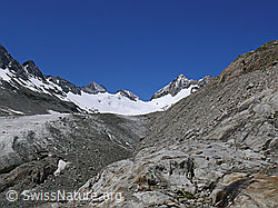 F050424: Gletscherrand und Seitenmoräne des Oberaargletschers