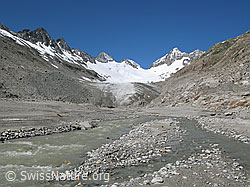 F050441: Gletscherzunge und Gletschervorfeld mit Schwemmebene