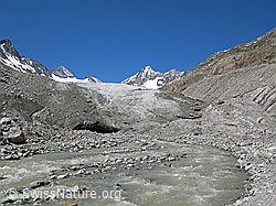 F050446: Gletschertor und Gletscherbach des Oberaargletschers