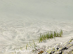 F051028: Schwemmebene Bächlisboden