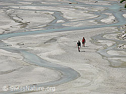 F051049: Wanderer auf dem Bächlisboden