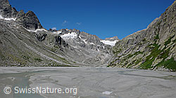 Foto: Schwemmlandschaft im Bächlital