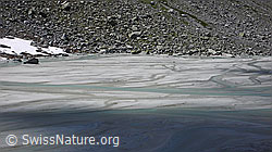 F051161: Licht und Schatten auf Schwemmebene