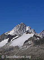 F051211: Finsteraarhorn von Osten