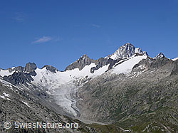 F051227: Finsteraarhorn und Oberaargletscher