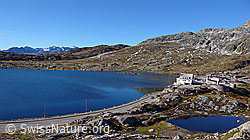 F051417: Grimselpasshöhe und Totesee