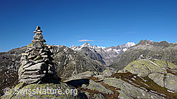 F051425: Steinmann, Finsteraarhorn und Schreckhorn